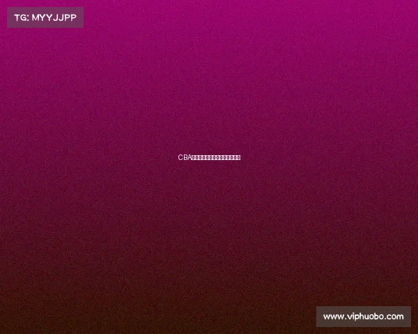 CBA职业球员特写：挑战与机遇并存